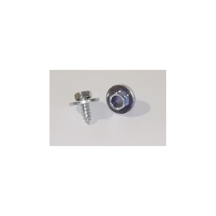 Vis de fixation de calandre x2 4.8x12
