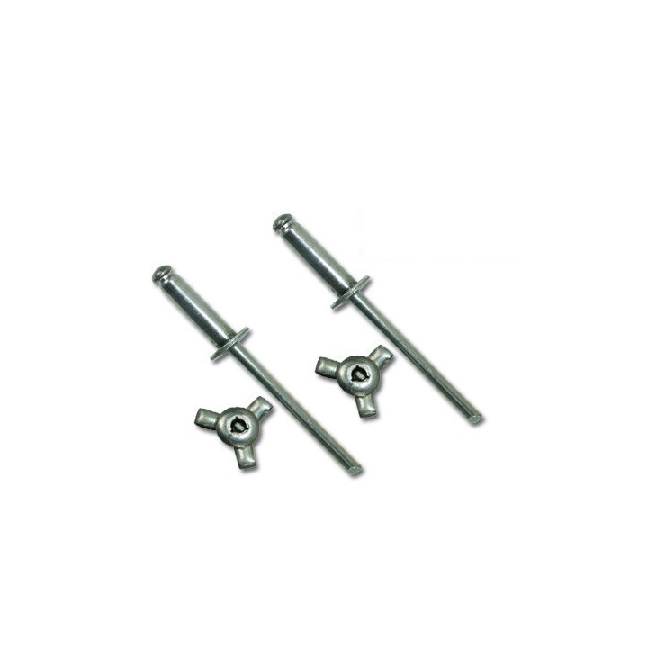 Rivets étoile pour ABS Méhari  4.8 X 20.5 par 50