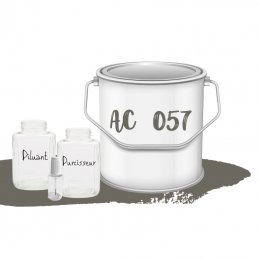 Kit de peinture Gris Cormoran AC057 voiture complète