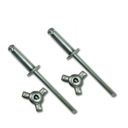 Rivets étoile pour ABS Méhari  4.8 X 20.5 par 50