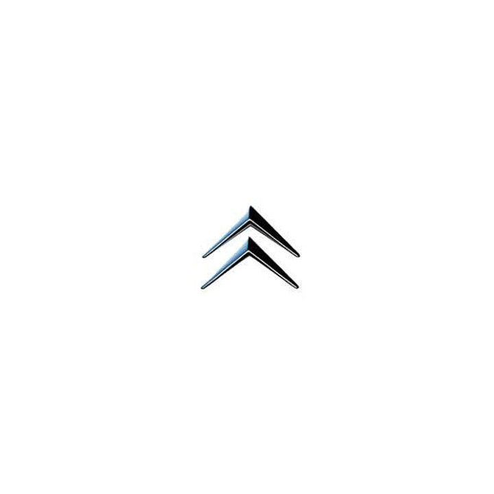 Chevrons chromés x2