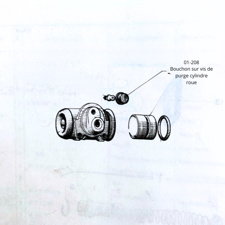 Capuchon sur vis de purge cylindre roue étrier graisseur