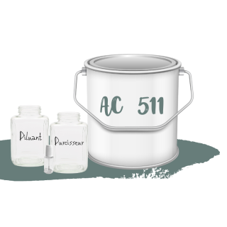 Kit de peinture Vert Cactée AC513 voiture complète