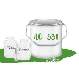 Kit de peinture Vert Tuilerie AC531 voiture complète
