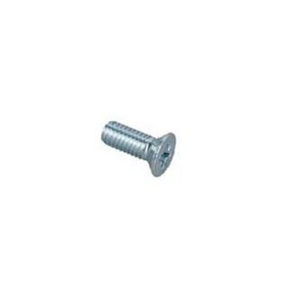Vis TF inox M4x12 d'embout de charnière de malle 2CV