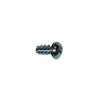 Vis tôle 4.8x16 tête cylindrique bombée large Pozi