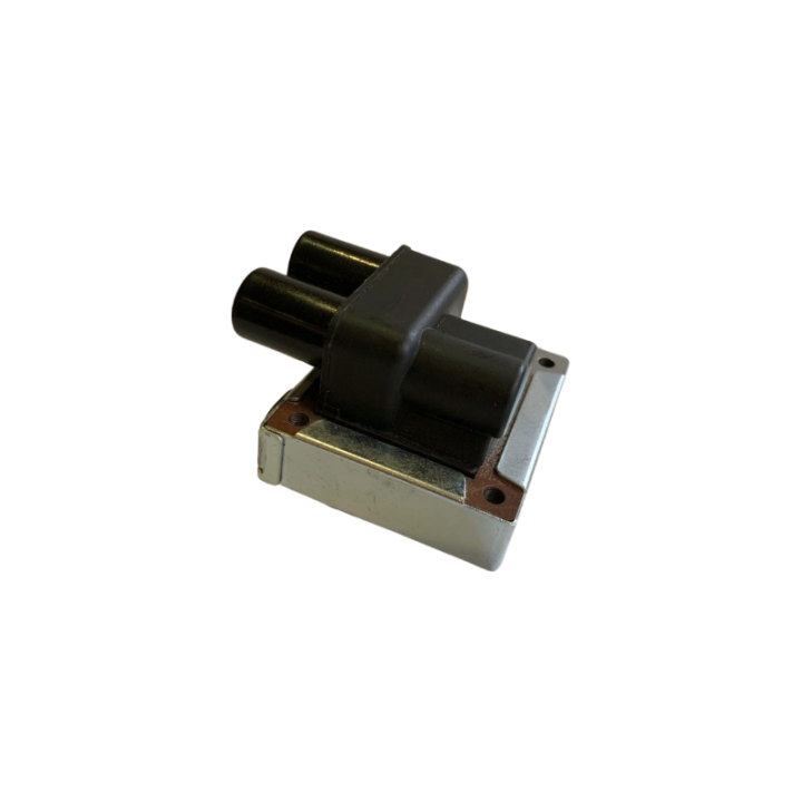 Bobine d'allumage Raid 12V Magneti Marelli