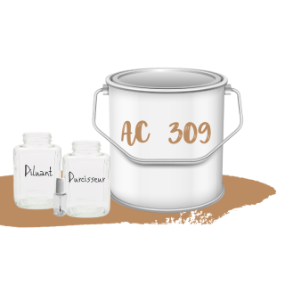 Kit de peinture Beige Antillais AC309 voiture complète