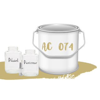 Kit de peinture Beige Nevada AC074 voiture complète