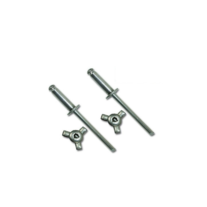 Rivets étoile pour ABS Méhari  4.8 X 20.5 par 50