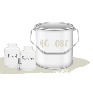 Kit de peinture Beige Albatros AC087 voiture complète