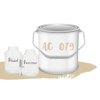 Kit de peinture Beige Gazelle AC079 voiture complète