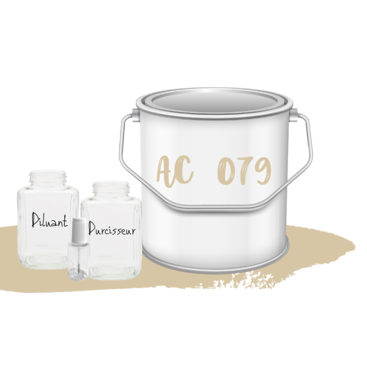 Kit de peinture Beige Gazelle AC079 voiture complète