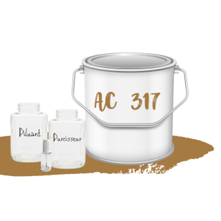Kit de peinture Paille Brûlée AC317 voiture complète