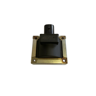 Bobine d'allumage Raid 12V Magneti Marelli