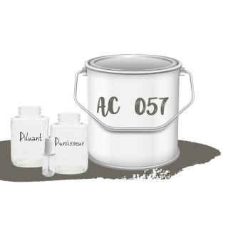 Kit de peinture Gris Cormoran AC057 voiture complète