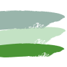 PEINTURE VERTE